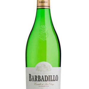 VINO CASTILLO DE SAN DIEGO 75CL