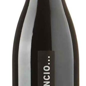 VINO EXTREMEÑO HABLA DEL SILENCIO 75CL