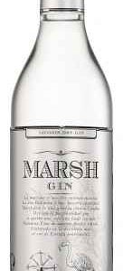 GINEBRA MARSH 70CL